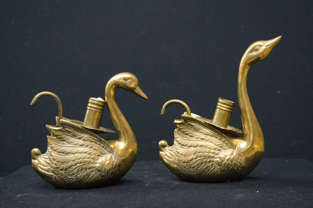 Gold Swans